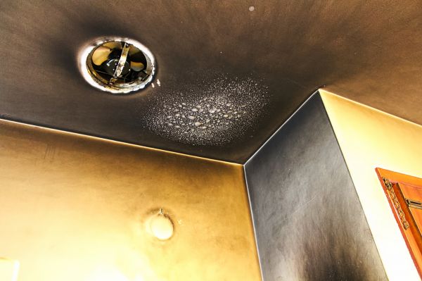 Cost of Smoke Remediation Service in Evergreen